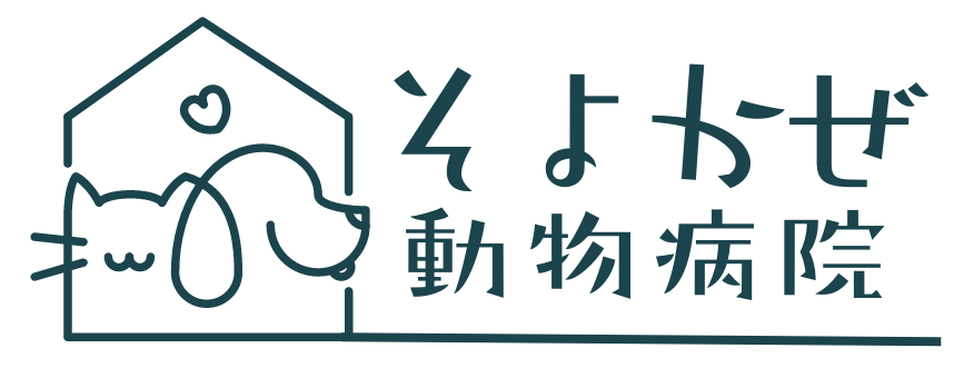 そよかぜ動物病院